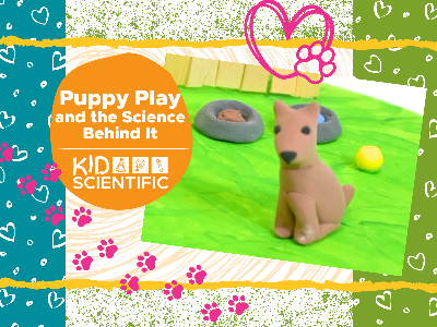 Puppy Play and the Science Behind It Workshop (4-9 Years)