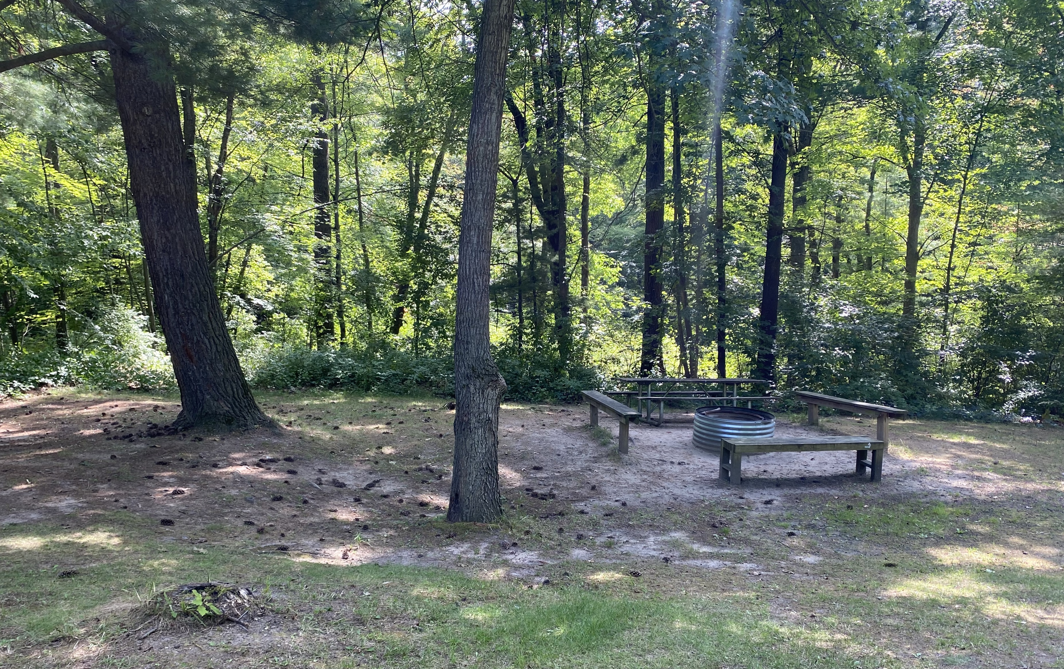 Image for Tent Site 1